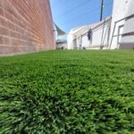 Artificial Turf