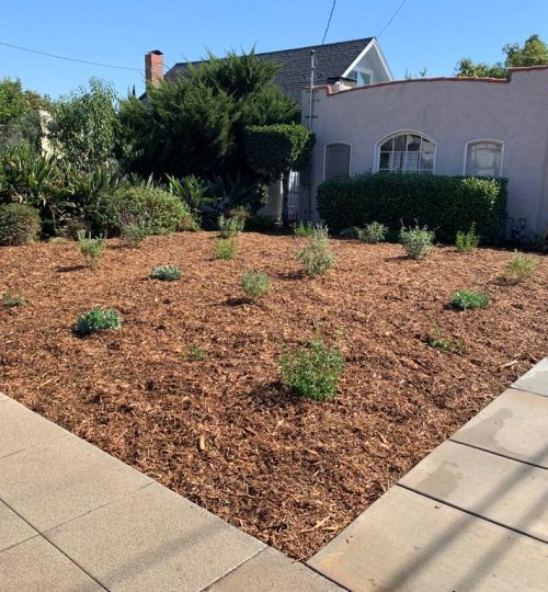 General Native Green Inc, Sustainable Landscape Design California, Sustainable Landscape Design CA, Sustainable Landscape Design Tujunga California, Sustainable Landscape Design Tujunga CA, Native Plants Tujunga California, Native Plants Tujunga CA, Mulch Application Tujunga California, Mulch Application Tujunga CA, Gardening Services Tujunga California, Gardening Services Tujunga CA, General Yard Tujunga California, General Yard Tujunga CA, Water Saving Irrigation Tujunga California, Water Saving Irrigation Tujunga CA, Artificial Turf Tujunga California, Artificial Turf Tujunga CA, Tree Trimming Tujunga California, Tree Trimming Tujunga CA, Brush Clearances Tujunga California, Brush Clearances Tujunga CA, Gutter Cleaning Tujunga California, Gutter Cleaning Tujunga CA, Hardscapes Tujunga California, Hardscapes Tujunga CA, Block Walls Tujunga California, Block Walls Tujunga CA, Landscape Lighting Tujunga California, Landscape Lighting Tujunga CA, Sustainable Landscape Design La Crescenta-Montrose California, Sustainable Landscape Design La Crescenta-Montrose CA, Native Plants La Crescenta-Montrose California, Native Plants La Crescenta-Montrose CA, Mulch Application La Crescenta-Montrose California, Mulch Application La Crescenta-Montrose CA, Gardening Services La Crescenta-Montrose California, Gardening Services La Crescenta-Montrose CA, General Yard La Crescenta-Montrose California, General Yard La Crescenta-Montrose CA, Water Saving Irrigation La Crescenta-Montrose California, Water Saving Irrigation La Crescenta-Montrose CA, Artificial Turf La Crescenta-Montrose California, Artificial Turf La Crescenta-Montrose CA, Tree Trimming La Crescenta-Montrose California, Tree Trimming La Crescenta-Montrose CA, Brush Clearances La Crescenta-Montrose California, Brush Clearances La Crescenta-Montrose CA, Gutter Cleaning La Crescenta-Montrose California, Gutter Cleaning La Crescenta-Montrose CA, Hardscapes La Crescenta-Montrose California, Hardscapes La Crescenta-Montrose CA, Block Walls La Crescenta-Montrose California, Block Walls La Crescenta-Montrose CA, Landscape Lighting La Crescenta-Montrose California, Landscape Lighting La Crescenta-Montrose CA, Sustainable Landscape Design Silver Lake California, Sustainable Landscape Design Silver Lake CA, Native Plants Silver Lake California, Native Plants Silver Lake CA, Mulch Application Silver Lake California, Mulch Application Silver Lake CA, Gardening Services Silver Lake California, Gardening Services Silver Lake CA, General Yard Silver Lake California, General Yard Silver Lake CA, Water Saving Irrigation Silver Lake California, Water Saving Irrigation Silver Lake CA, Artificial Turf Silver Lake California, Artificial Turf Silver Lake CA, Tree Trimming Silver Lake California, Tree Trimming Silver Lake CA, Brush Clearances Silver Lake California, Brush Clearances Silver Lake CA, Gutter Cleaning Silver Lake California, Gutter Cleaning Silver Lake CA, Hardscapes Silver Lake California, Hardscapes Silver Lake CA, Block Walls Silver Lake California, Block Walls Silver Lake CA, Landscape Lighting Silver Lake California, Landscape Lighting Silver Lake CA, Sustainable Landscape Design Echo Park California, Sustainable Landscape Design Echo Park CA, Native Plants Echo Park California, Native Plants Echo Park CA, Mulch Application Echo Park California, Mulch Application Echo Park CA, Gardening Services Echo Park California, Gardening Services Echo Park CA, General Yard Echo Park California, General Yard Echo Park CA, Water Saving Irrigation Echo Park California, Water Saving Irrigation Echo Park CA, Artificial Turf Echo Park California, Artificial Turf Echo Park CA, Tree Trimming Echo Park California, Tree Trimming Echo Park CA, Brush Clearances Echo Park California, Brush Clearances Echo Park CA, Gutter Cleaning Echo Park California, Gutter Cleaning Echo Park CA, Hardscapes Echo Park California, Hardscapes Echo Park CA, Block Walls Echo Park California, Block Walls Echo Park CA, Landscape Lighting Echo Park California, Landscape Lighting Echo Park CA, Sustainable Landscape Design Shadow Hills California, Sustainable Landscape Design Shadow Hills CA, Native Plants Shadow Hills California, Native Plants Shadow Hills CA, Mulch Application Shadow Hills California, Mulch Application Shadow Hills CA, Gardening Services Shadow Hills California, Gardening Services Shadow Hills CA, General Yard Shadow Hills California, General Yard Shadow Hills CA, Water Saving Irrigation Shadow Hills California, Water Saving Irrigation Shadow Hills CA, Artificial Turf Shadow Hills California, Artificial Turf Shadow Hills CA, Tree Trimming Shadow Hills California, Tree Trimming Shadow Hills CA, Brush Clearances Shadow Hills California, Brush Clearances Shadow Hills CA, Gutter Cleaning Shadow Hills California, Gutter Cleaning Shadow Hills CA, Hardscapes Shadow Hills California, Hardscapes Shadow Hills CA, Block Walls Shadow Hills California, Block Walls Shadow Hills CA, Landscape Lighting Shadow Hills California, Landscape Lighting Shadow Hills CA, Sustainable Landscape Design North Hills California, Sustainable Landscape Design North Hills CA, Native Plants North Hills California, Native Plants North Hills CA, Mulch Application North Hills California, Mulch Application North Hills CA, Gardening Services North Hills California, Gardening Services North Hills CA, General Yard North Hills California, General Yard North Hills CA, Water Saving Irrigation North Hills California, Water Saving Irrigation North Hills CA, Artificial Turf North Hills California, Artificial Turf North Hills CA, Tree Trimming North Hills California, Tree Trimming North Hills CA, Brush Clearances North Hills California, Brush Clearances North Hills CA, Gutter Cleaning North Hills California, Gutter Cleaning North Hills CA, Hardscapes North Hills California, Hardscapes North Hills CA, Block Walls North Hills California, Block Walls North Hills CA, Landscape Lighting North Hills California, Landscape Lighting North Hills CA, Sustainable Landscape Design Encino California, Sustainable Landscape Design Encino CA, Native Plants Encino California, Native Plants Encino CA, Mulch Application Encino California, Mulch Application Encino CA, Gardening Services Encino California, Gardening Services Encino CA, General Yard Encino California, General Yard Encino CA, Water Saving Irrigation Encino California, Water Saving Irrigation Encino CA, Artificial Turf Encino California, Artificial Turf Encino CA, Tree Trimming Encino California, Tree Trimming Encino CA, Brush Clearances Encino California, Brush Clearances Encino CA, Gutter Cleaning Encino California, Gutter Cleaning Encino CA, Hardscapes Encino California, Hardscapes Encino CA, Block Walls Encino California, Block Walls Encino CA, Landscape Lighting Encino California, Landscape Lighting Encino CA, Sustainable Landscape Design Reseda California, Sustainable Landscape Design Reseda CA, Native Plants Reseda California, Native Plants Reseda CA, Mulch Application Reseda California, Mulch Application Reseda CA, Gardening Services Reseda California, Gardening Services Reseda CA, General Yard Reseda California, General Yard Reseda CA, Water Saving Irrigation Reseda California, Water Saving Irrigation Reseda CA, Artificial Turf Reseda California, Artificial Turf Reseda CA, Tree Trimming Reseda California, Tree Trimming Reseda CA, Brush Clearances Reseda California, Brush Clearances Reseda CA, Gutter Cleaning Reseda California, Gutter Cleaning Reseda CA, Hardscapes Reseda California, Hardscapes Reseda CA, Block Walls Reseda California, Block Walls Reseda CA, Landscape Lighting Reseda California, Landscape Lighting Reseda CA, Sustainable Landscape Design Van Nuys California, Sustainable Landscape Design Van Nuys CA, Native Plants Van Nuys California, Native Plants Van Nuys CA, Mulch Application Van Nuys California, Mulch Application Van Nuys CA, Gardening Services Van Nuys California, Gardening Services Van Nuys CA, General Yard Van Nuys California, General Yard Van Nuys CA, Water Saving Irrigation Van Nuys California, Water Saving Irrigation Van Nuys CA, Artificial Turf Van Nuys California, Artificial Turf Van Nuys CA, Tree Trimming Van Nuys California, Tree Trimming Van Nuys CA, Brush Clearances Van Nuys California, Brush Clearances Van Nuys CA, Gutter Cleaning Van Nuys California, Gutter Cleaning Van Nuys CA, Hardscapes Van Nuys California, Hardscapes Van Nuys CA, Block Walls Van Nuys California, Block Walls Van Nuys CA, Landscape Lighting Van Nuys California, Landscape Lighting Van Nuys CA, Sustainable Landscape Design North Hollywood California, Sustainable Landscape Design North Hollywood CA, Native Plants North Hollywood California, Native Plants North Hollywood CA, Mulch Application North Hollywood California, Mulch Application North Hollywood CA, Gardening Services North Hollywood California, Gardening Services North Hollywood CA, General Yard North Hollywood California, General Yard North Hollywood CA, Water Saving Irrigation North Hollywood California, Water Saving Irrigation North Hollywood CA, Artificial Turf North Hollywood California, Artificial Turf North Hollywood CA, Tree Trimming North Hollywood California, Tree Trimming North Hollywood CA, Brush Clearances North Hollywood California, Brush Clearances North Hollywood CA, Gutter Cleaning North Hollywood California, Gutter Cleaning North Hollywood CA, Hardscapes North Hollywood California, Hardscapes North Hollywood CA, Block Walls North Hollywood California, Block Walls North Hollywood CA, Landscape Lighting North Hollywood California, Landscape Lighting North Hollywood CA, Sustainable Landscape Design Burbank California, Sustainable Landscape Design Burbank CA, Native Plants Burbank California, Native Plants Burbank CA, Mulch Application Burbank California, Mulch Application Burbank CA, Gardening Services Burbank California, Gardening Services Burbank CA, General Yard Burbank California, General Yard Burbank CA, Water Saving Irrigation Burbank California, Water Saving Irrigation Burbank CA, Artificial Turf Burbank California, Artificial Turf Burbank CA, Tree Trimming Burbank California, Tree Trimming Burbank CA, Brush Clearances Burbank California, Brush Clearances Burbank CA, Gutter Cleaning Burbank California, Gutter Cleaning Burbank CA, Hardscapes Burbank California, Hardscapes Burbank CA, Block Walls Burbank California, Block Walls Burbank CA, Landscape Lighting Burbank California, Landscape Lighting Burbank CA, Sustainable Landscape Design Eagle Rock California, Sustainable Landscape Design Eagle Rock CA, Native Plants Eagle Rock California, Native Plants Eagle Rock CA, Mulch Application Eagle Rock California, Mulch Application Eagle Rock CA, Gardening Services Eagle Rock California, Gardening Services Eagle Rock CA, General Yard Eagle Rock California, General Yard Eagle Rock CA, Water Saving Irrigation Eagle Rock California, Water Saving Irrigation Eagle Rock CA, Artificial Turf Eagle Rock California, Artificial Turf Eagle Rock CA, Tree Trimming Eagle Rock California, Tree Trimming Eagle Rock CA, Brush Clearances Eagle Rock California, Brush Clearances Eagle Rock CA, Gutter Cleaning Eagle Rock California, Gutter Cleaning Eagle Rock CA, Hardscapes Eagle Rock California, Hardscapes Eagle Rock CA, Block Walls Eagle Rock California, Block Walls Eagle Rock CA, Landscape Lighting Eagle Rock California, Landscape Lighting Eagle Rock CA, Sustainable Landscape Design Highland Park California, Sustainable Landscape Design Highland Park CA, Native Plants Highland Park California, Native Plants Highland Park CA, Mulch Application Highland Park California, Mulch Application Highland Park CA, Gardening Services Highland Park California, Gardening Services Highland Park CA, General Yard Highland Park California, General Yard Highland Park CA, Water Saving Irrigation Highland Park California, Water Saving Irrigation Highland Park CA, Artificial Turf Highland Park California, Artificial Turf Highland Park CA, Tree Trimming Highland Park California, Tree Trimming Highland Park CA, Brush Clearances Highland Park California, Brush Clearances Highland Park CA, Gutter Cleaning Highland Park California, Gutter Cleaning Highland Park CA, Hardscapes Highland Park California, Hardscapes Highland Park CA, Block Walls Highland Park California, Block Walls Highland Park CA, Landscape Lighting Highland Park California, Landscape Lighting Highland Park CA, Sustainable Landscape Design San Gabriel California, Sustainable Landscape Design San Gabriel CA, Native Plants San Gabriel California, Native Plants San Gabriel CA, Mulch Application San Gabriel California, Mulch Application San Gabriel CA, Gardening Services San Gabriel California, Gardening Services San Gabriel CA, General Yard San Gabriel California, General Yard San Gabriel CA, Water Saving Irrigation San Gabriel California, Water Saving Irrigation San Gabriel CA, Artificial Turf San Gabriel California, Artificial Turf San Gabriel CA, Tree Trimming San Gabriel California, Tree Trimming San Gabriel CA, Brush Clearances San Gabriel California, Brush Clearances San Gabriel CA, Gutter Cleaning San Gabriel California, Gutter Cleaning San Gabriel CA, Hardscapes San Gabriel California, Hardscapes San Gabriel CA, Block Walls San Gabriel California, Block Walls San Gabriel CA, Landscape Lighting San Gabriel California, Landscape Lighting San Gabriel CA, Sustainable Landscape Design Atwater Village California, Sustainable Landscape Design Atwater Village CA, Native Plants Atwater Village California, Native Plants Atwater Village CA, Mulch Application Atwater Village California, Mulch Application Atwater Village CA, Gardening Services Atwater Village California, Gardening Services Atwater Village CA, General Yard Atwater Village California, General Yard Atwater Village CA, Water Saving Irrigation Atwater Village California, Water Saving Irrigation Atwater Village CA, Artificial Turf Atwater Village California, Artificial Turf Atwater Village CA, Tree Trimming Atwater Village California, Tree Trimming Atwater Village CA, Brush Clearances Atwater Village California, Brush Clearances Atwater Village CA, Gutter Cleaning Atwater Village California, Gutter Cleaning Atwater Village CA, Hardscapes Atwater Village California, Hardscapes Atwater Village CA, Block Walls Atwater Village California, Block Walls Atwater Village CA, Landscape Lighting Atwater Village California, Landscape Lighting Atwater Village CA, Sustainable Landscape Design Altadena California, Sustainable Landscape Design Altadena CA, Native Plants Altadena California, Native Plants Altadena CA, Mulch Application Altadena California, Mulch Application Altadena CA, Gardening Services Altadena California, Gardening Services Altadena CA, General Yard Altadena California, General Yard Altadena CA, Water Saving Irrigation Altadena California, Water Saving Irrigation Altadena CA, Artificial Turf Altadena California, Artificial Turf Altadena CA, Tree Trimming Altadena California, Tree Trimming Altadena CA, Brush Clearances Altadena California, Brush Clearances Altadena CA, Gutter Cleaning Altadena California, Gutter Cleaning Altadena CA, Hardscapes Altadena California, Hardscapes Altadena CA, Block Walls Altadena California, Block Walls Altadena CA, Landscape Lighting Altadena California, Landscape Lighting Altadena CA, Sustainable Landscape Design Pasadena California, Sustainable Landscape Design Pasadena CA, Native Plants Pasadena California, Native Plants Pasadena CA, Mulch Application Pasadena California, Mulch Application Pasadena CA, Gardening Services Pasadena California, Gardening Services Pasadena CA, General Yard Pasadena California, General Yard Pasadena CA, Water Saving Irrigation Pasadena California, Water Saving Irrigation Pasadena CA, Artificial Turf Pasadena California, Artificial Turf Pasadena CA, Tree Trimming Pasadena California, Tree Trimming Pasadena CA, Brush Clearances Pasadena California, Brush Clearances Pasadena CA, Gutter Cleaning Pasadena California, Gutter Cleaning Pasadena CA, Hardscapes Pasadena California, Hardscapes Pasadena CA, Block Walls Pasadena California, Block Walls Pasadena CA, Landscape Lighting Pasadena California, Landscape Lighting Pasadena CA, Sustainable Landscape Design Echo Park California, Sustainable Landscape Design Echo Park CA, Native Plants Echo Park California, Native Plants Echo Park CA, Mulch Application Echo Park California, Mulch Application Echo Park CA, Gardening Services Echo Park California, Gardening Services Echo Park CA, General Yard Echo Park California, General Yard Echo Park CA, Water Saving Irrigation Echo Park California, Water Saving Irrigation Echo Park CA, Artificial Turf Echo Park California, Artificial Turf Echo Park CA, Tree Trimming Echo Park California, Tree Trimming Echo Park CA, Brush Clearances Echo Park California, Brush Clearances Echo Park CA, Gutter Cleaning Echo Park California, Gutter Cleaning Echo Park CA, Hardscapes Echo Park California, Hardscapes Echo Park CA, Block Walls Echo Park California, Block Walls Echo Park CA, Landscape Lighting Echo Park California, Landscape Lighting Echo Park CA, Sustainable Landscape Design Granada Hills California, Sustainable Landscape Design Granada Hills CA, Native Plants Granada Hills California, Native Plants Granada Hills CA, Mulch Application Granada Hills California, Mulch Application Granada Hills CA, Gardening Services Granada Hills California, Gardening Services Granada Hills CA, General Yard Granada Hills California, General Yard Granada Hills CA, Water Saving Irrigation Granada Hills California, Water Saving Irrigation Granada Hills CA, Artificial Turf Granada Hills California, Artificial Turf Granada Hills CA, Tree Trimming Granada Hills California, Tree Trimming Granada Hills CA, Brush Clearances Granada Hills California, Brush Clearances Granada Hills CA, Gutter Cleaning Granada Hills California, Gutter Cleaning Granada Hills CA, Hardscapes Granada Hills California, Hardscapes Granada Hills CA, Block Walls Granada Hills California, Block Walls Granada Hills CA, Landscape Lighting Granada Hills California, Landscape Lighting Granada Hills CA, Sustainable Landscape Design Tarzana California, Sustainable Landscape Design Tarzana CA, Native Plants Tarzana California, Native Plants Tarzana CA, Mulch Application Tarzana California, Mulch Application Tarzana CA, Gardening Services Tarzana California, Gardening Services Tarzana CA, General Yard Tarzana California, General Yard Tarzana CA, Water Saving Irrigation Tarzana California, Water Saving Irrigation Tarzana CA, Artificial Turf Tarzana California, Artificial Turf Tarzana CA, Tree Trimming Tarzana California, Tree Trimming Tarzana CA, Brush Clearances Tarzana California, Brush Clearances Tarzana CA, Gutter Cleaning Tarzana California, Gutter Cleaning Tarzana CA, Hardscapes Tarzana California, Hardscapes Tarzana CA, Block Walls Tarzana California, Block Walls Tarzana CA, Landscape Lighting Tarzana California, Landscape Lighting Tarzana CA, Sustainable Landscape Design Porter Ranch California, Sustainable Landscape Design Porter Ranch CA, Native Plants Porter Ranch California, Native Plants Porter Ranch CA, Mulch Application Porter Ranch California, Mulch Application Porter Ranch CA, Gardening Services Porter Ranch California, Gardening Services Porter Ranch CA, General Yard Porter Ranch California, General Yard Porter Ranch CA, Water Saving Irrigation Porter Ranch California, Water Saving Irrigation Porter Ranch CA, Artificial Turf Porter Ranch California, Artificial Turf Porter Ranch CA, Tree Trimming Porter Ranch California, Tree Trimming Porter Ranch CA, Brush Clearances Porter Ranch California, Brush Clearances Porter Ranch CA, Gutter Cleaning Porter Ranch California, Gutter Cleaning Porter Ranch CA, Hardscapes Porter Ranch California, Hardscapes Porter Ranch CA, Block Walls Porter Ranch California, Block Walls Porter Ranch CA, Landscape Lighting Porter Ranch California, Landscape Lighting Porter Ranch CA,